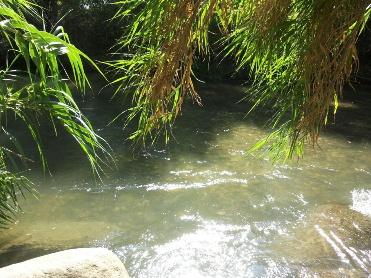 אצלנו - בגליל העליון Leilighet Qiryat Shemona Eksteriør bilde